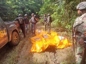 14 Korban Serangan KKB Papua Barat: Identitas dan Kondisinya