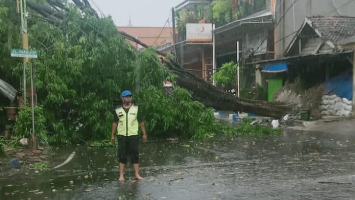 angin kencang di mojokerto