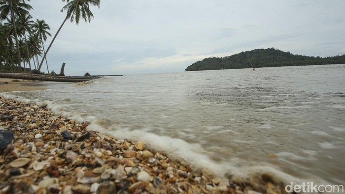 Hii... Ada 'Pantai Gosong' Lho di Kalimantan Barat Dinamakan pantai gosong sebab sebelumnya pesisir pantai ini sempat dilanda kebakaran hingga mengubah hutan di sekitarnya menjadi tumpukan arang.
