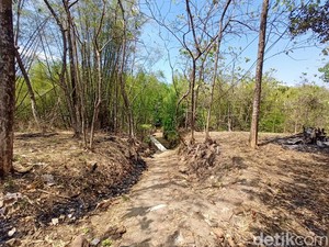 Cerita Warga Soal Penyebab Terciptanya Kampung Mati di Ponorogo