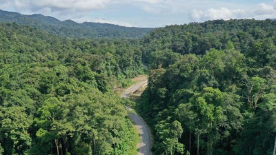 Mengintip Jalan di Papua, Dibangun Tembus Hutan Lebat