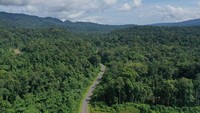 Jalan ini membuka keterisolasian wilayah serta meningkatkan arus perjalanan antara wilayah di Papua BaratFoto: Dok. PT Wijaya Karya (Persero) Tbk