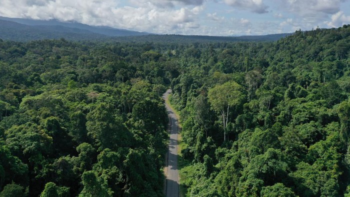 Mengintip Jalan di Papua, Dibangun Tembus Hutan Lebat