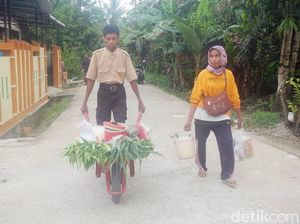 Perjuangan Pelajar SMP di Polman Jualan Sayur Keliling Sebelum ke Sekolah
