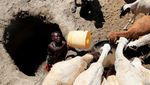 Potret Kekeringan Parah di Kenya, Orang-orang Terancam Kelaparan