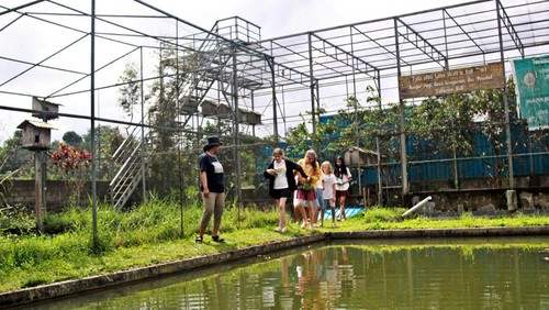 Suasana kandang penangkaran burung hantu Tuwut di Banjar Pagi, Desa Senganan, Kecamatan Penebel.