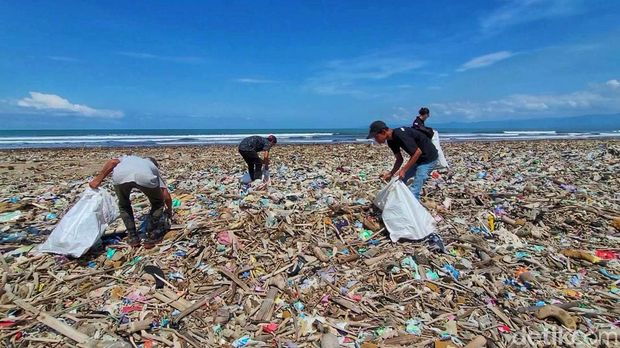 Aksi Pemuda Loji Sulap Lautan Sampah di Pantai Jadi Bahan Utama Cofiring PLTU