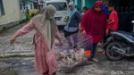 5 Penampakan Bangkai Kucing di Pekanbaru yang Bikin Geger