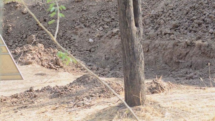 Foto kamuflase macan tutul