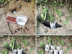 Editan Photoshop yang Bikin Geleng-geleng