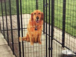 Editan Photoshop yang Bikin Geleng-geleng