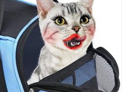 Editan Photoshop yang Bikin Geleng-geleng