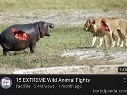 Editan Photoshop yang Bikin Geleng-geleng