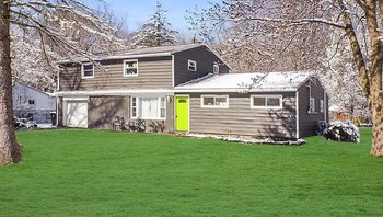 rumput editan. Foto: Boredpanda