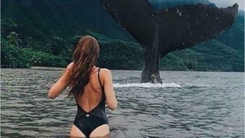 Demi foto yang unik. Foto: Boredpanda