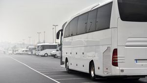 Untungnya Kecil, Swasta Nggak Ada yang Mau Layani Bus Perintis!