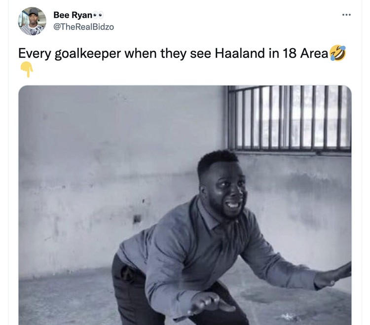 Meme Erling Haaland Meme Erling Haaland