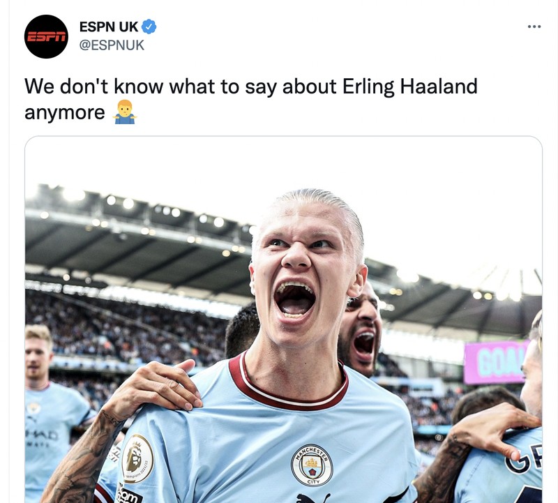 Meme Erling Haaland