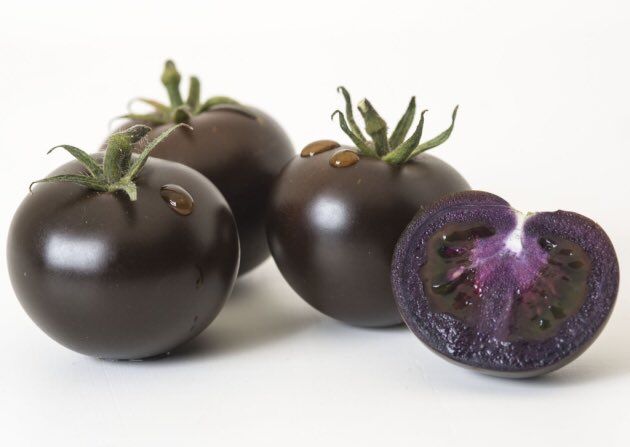 Mirip Blueberry! Tomat Ungu Kaya Antioksidan Bakal Dijual Tahun Depa