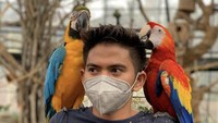  Rizki 2R selain hobi bernyanyi juga suka memberika makan para burung. Ekspresinya saat beri makan burung ini menarik perhatian. Foto: Instagram Rizki 2R