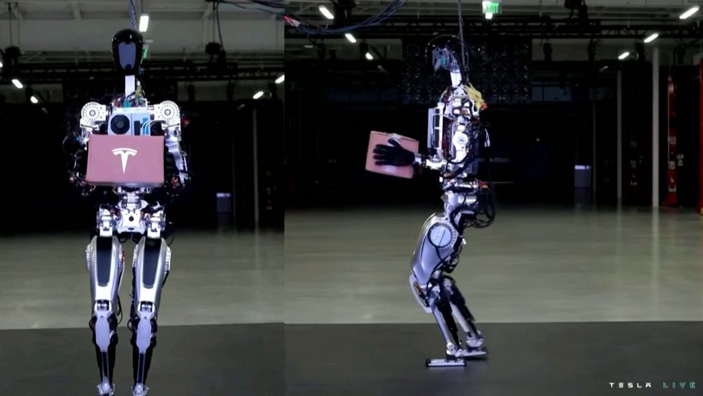 Robot humanoid  Optimus (Reuters TV)