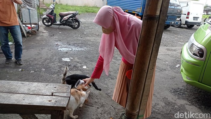 Sammy pecinta kucing tengah memberi pakan kucing liar di pasar Indihiang Kota Tasikmalaya.