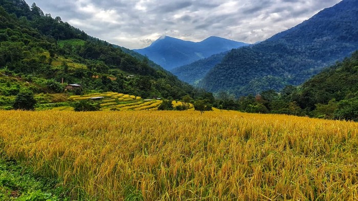 Trans Bhutan Trail Pemandangan di Trans Bhutan Trail