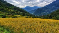 Setelah 6o tahun ditutup, jalur alam dengan pemandangan memukau di Bhutan ini kembali menyambut wisatawan.