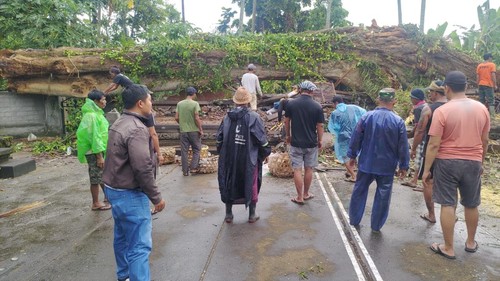 Warga mengerumuni Bale Banten di Pura Batan Waru, Banjar Pasekan, Desa Abiantuwung, yang hancur tertimpa batang pohon Pole, Senin (3/10/2022).