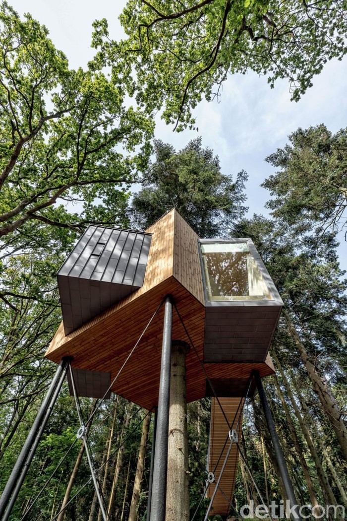 Rumah pohon menjadi mimpi banyak anak di berbagai belahan dunia. Bahkan, mimpi itu bertahan ketika mereka dewasa. Berikut 5 rumah pohon modern.
