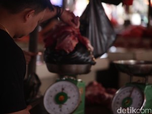 Cerita Pedagang Daging Ular di Tomohon Warisi Usaha Turun Temurun Keluarga