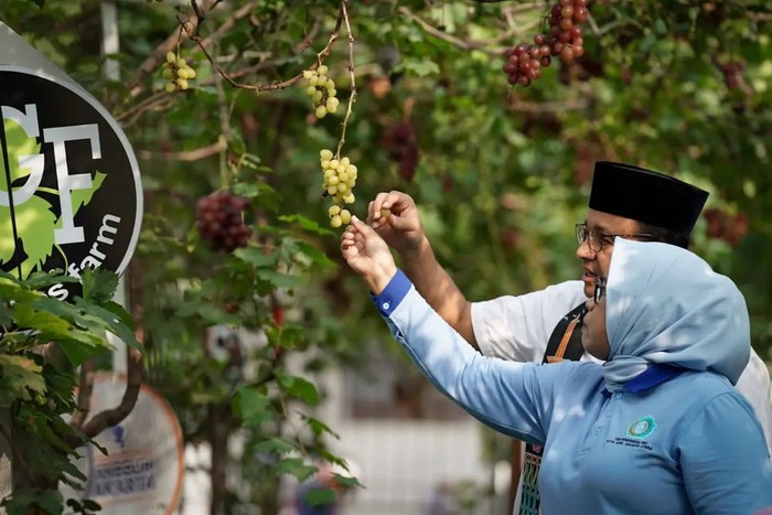Anies Baswedan