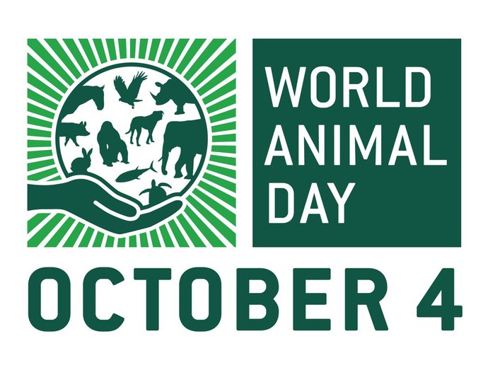 Hari Binatang Sedunia 4 Oktober kembali diperingati tahun ini. Hari Binatang Sedunia atau World Animal Day termasuk peringatan internasional di bulan Oktober.