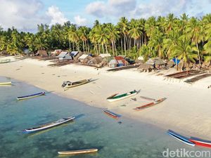 Tradisi Unik Tnyafar Adaut, Tinggalkan Rumah-Bangun Gubuk di Pesisir