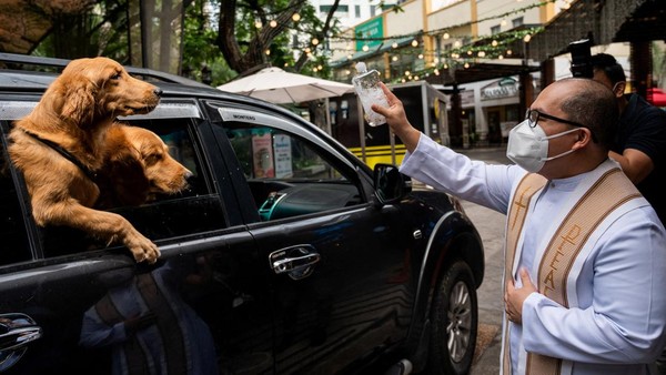 Seorang pendeta memercikkan air suci ke anjing-anjing pada acara pemberkatan hewan peliharaan. Ini adalah tahun kedua berturut-turut penyelenggara harus mengadakan upacara secara lantatur. Seorang pendeta memercikkan air suci ke anjing-anjing pada acara pemberkatan hewan peliharaan. Ini adalah tahun kedua berturut-turut penyelenggara harus mengadakan upacara secara lantatur.