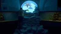 Ahli entomologi Yurii Voitenko bermain dengan lumba-lumba bernama Zeus melalui jendela pengamatan bawah air di kolam dolphinarium Nemo di Kharkiv, Ukraina, Rabu (21/9/2022) waktu setempat.