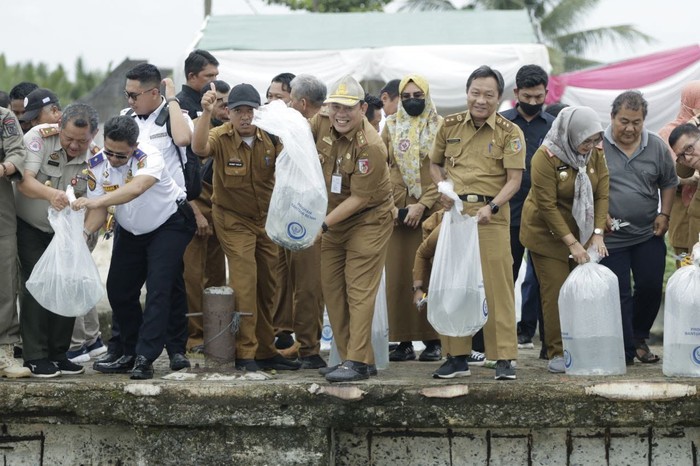 Pemkab Tulang Bawang
