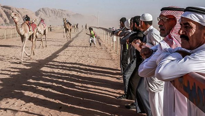 Serunya Balapan Unta di Gurun Yordania Unta-unta berlomba dalam Festival Balapan Unta di trek balap Sheikh Zayed, Gurun Wadi Rum Selatan, Yordania, Jumat (30/9/2022) waktu setempat.
