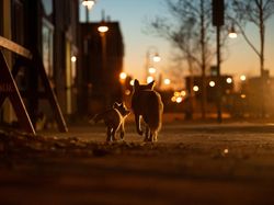 Jawara Siena International Photo Awards 2022 yang Pukau Mata