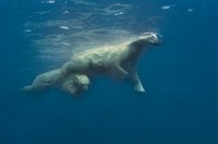 Siena International Photo Awards 2022