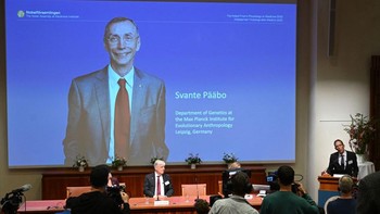 Nobel Kedokteran telah dianugerahkan kepada ilmuwan asal Swedia, Profesor Svante Paabo, atas risetnya terhadap evolusi manusia. Komite Nobel menyebut dia berhasil mengerjakan riset yang dianggap tak mungkin, yaitu memetakan kode genetis manusia purba Neandhertal. Foto: AFP via Getty Images/JONATHAN NACKSTRAND