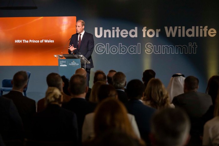 LONDON, ENGLAND - OCTOBER 04: Prince William, Prince of Wales attends the United For Wildlife Summit at Science Museum on October 4, 2022 in London, England. The Prince of Wales delivered a keynote speech highlighting the serious and organised nature of illegal wildlife crime and its damaging impact on global biodiversity and local communities. (Photo by Paul Grover - Pool/Getty Images)