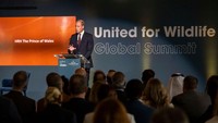 Pangeran William saat bicara di podium United For Wildlife Summit. (Foto: Getty Images/Pool/Paul Grover)