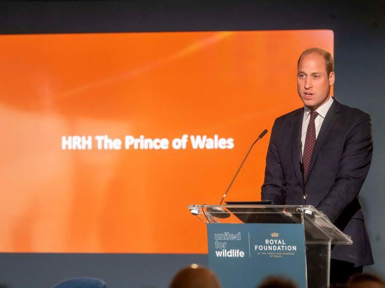 Pangeran William Hidup Normal Lagi