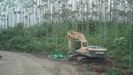 Membentang 450 Meter, Ini Dia Sumber Air di Ibu Kota Baru