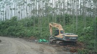 Nantinya saat musim kemarau bendungan ini dapat menyuplai air. Jadi masyarakat tak perlu lagi khawatir akan tertimpa kekeringan di area persawahannya. Foto: Dok. Badan Otorita IKN