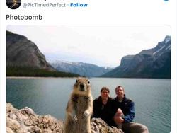 Deretan Foto Diambil di Waktu Tepat, Tak Cukup Dilihat Sekali