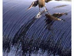 Deretan Foto Diambil di Waktu Tepat, Tak Cukup Dilihat Sekali