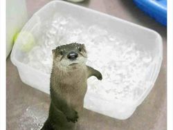 Deretan Foto Diambil di Waktu Tepat, Tak Cukup Dilihat Sekali