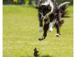 Deretan Foto Diambil di Waktu Tepat, Tak Cukup Dilihat Sekali